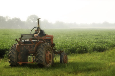 Old Tractor
