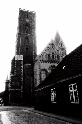 Ribe - Catherdral