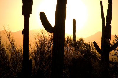 Arizona0013.JPG