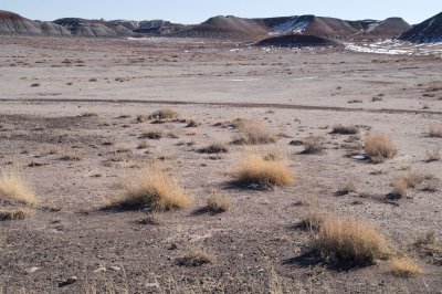 Arizona0078.JPG