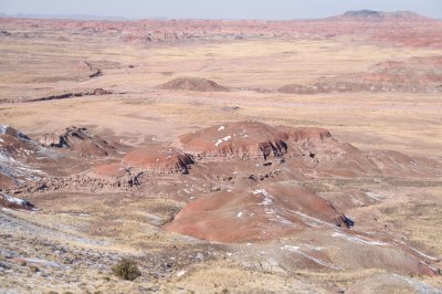 Arizona0098.JPG