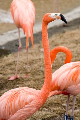 IMG_2232.jpg