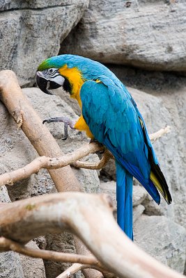 IMG_2311.jpg