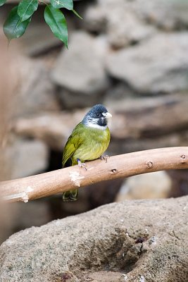 IMG_2317.jpg