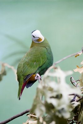 IMG_2326.jpg