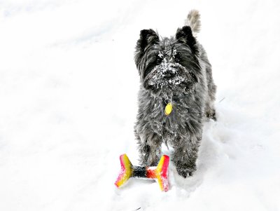 IMG_4798 copy.jpg