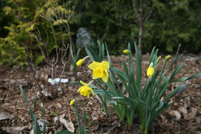 IMG_5711 copy.jpg