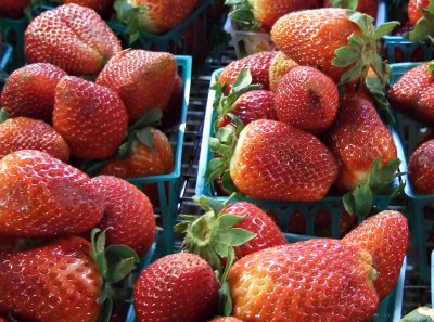 st_lawrence_market_f31fd
