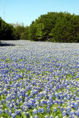 DSC_0004.jpg