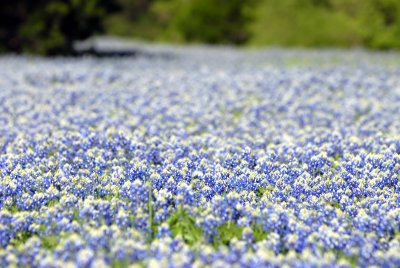 DSC_0021.jpg
