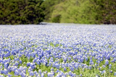 DSC_0022.jpg