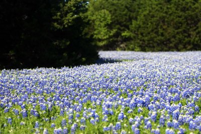 DSC_0023.jpg
