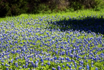 DSC_0024.jpg
