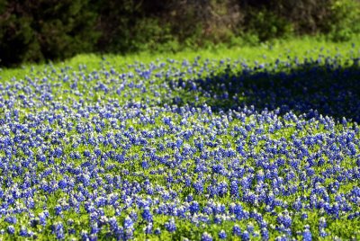 DSC_0025.jpg