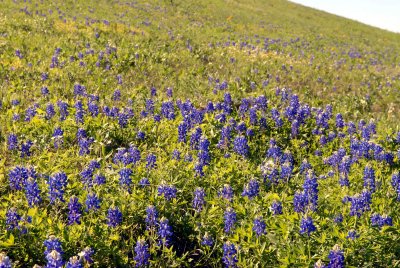 DSC_0189.jpg