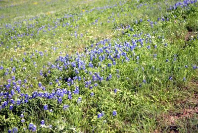 DSC_0195.jpg