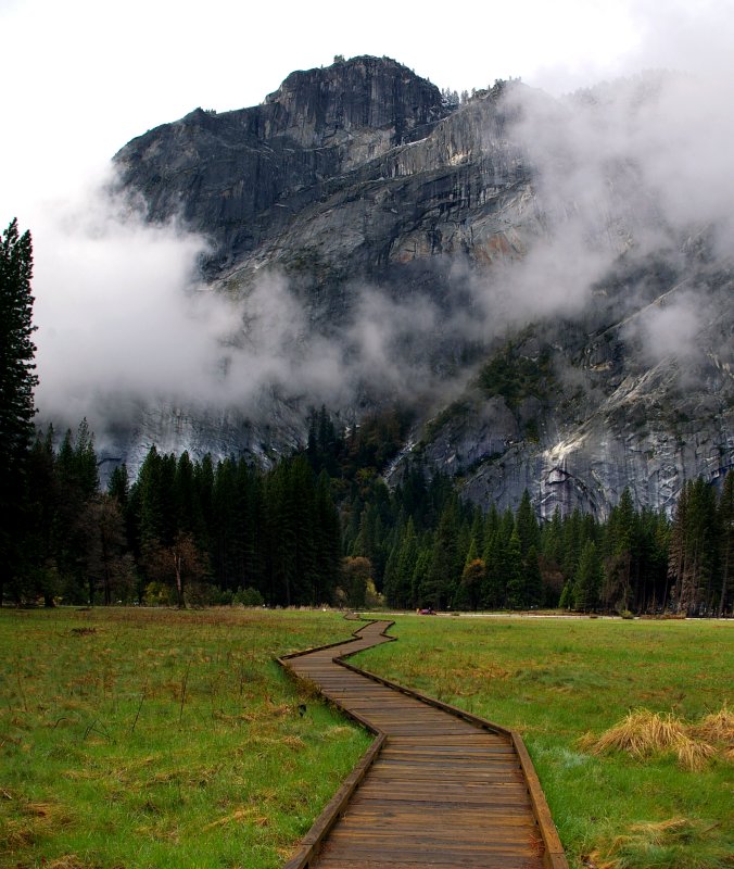 Meadow_Boardwalk.jpg