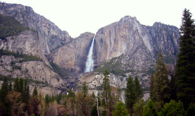 Wedding at Yosemite