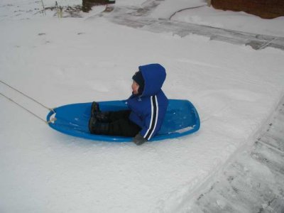 joey on his first sled ride