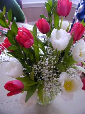 tulips from will and bobby