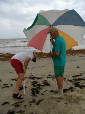 jeff and dad try to put up the umbrella but it is too windy