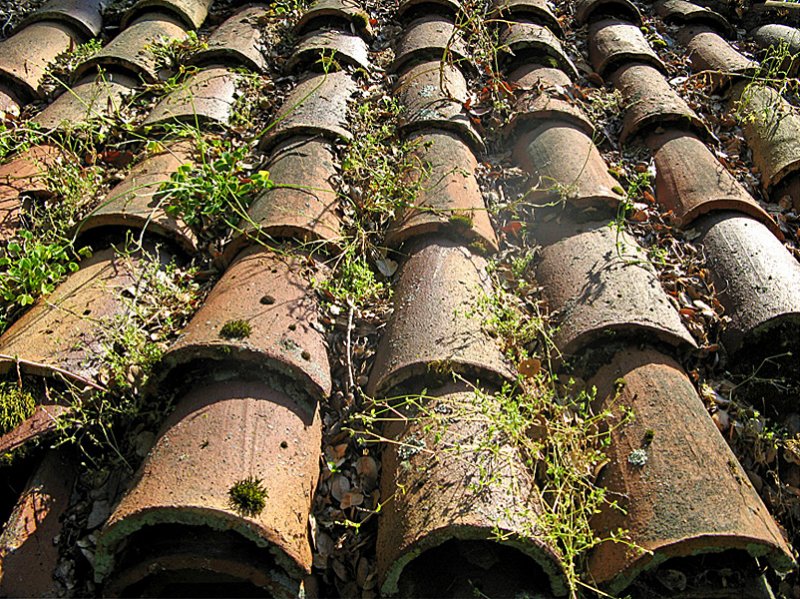 Tiles 0670