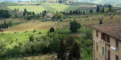 Countryside west of Florence  7274