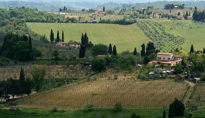 Countryside west of Florence  7268