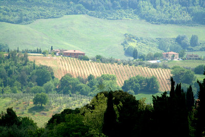 Countryside west of Florence  7292