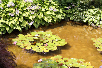 Butchart Gardens: Japanese garden
