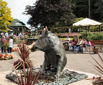 Butchart Gardens: lucky-nosed boar