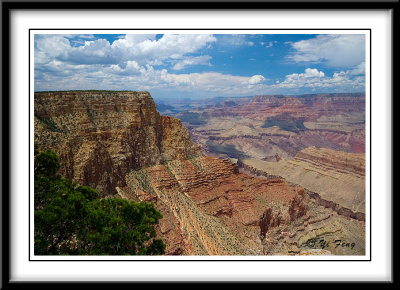 2007-7-16 Grand Canyon day 2 - 7238 copy.jpg