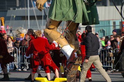 DSC_8517.jpg