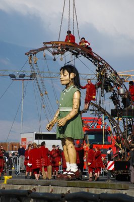 DSC_8555.jpg