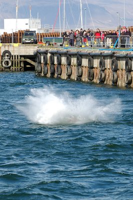 DSC_8612.jpg