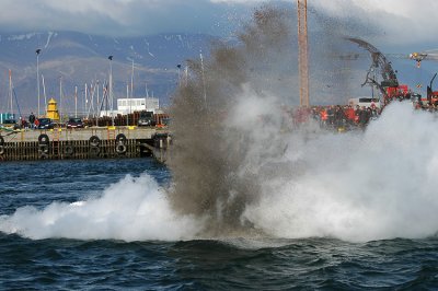 DSC_8615.jpg