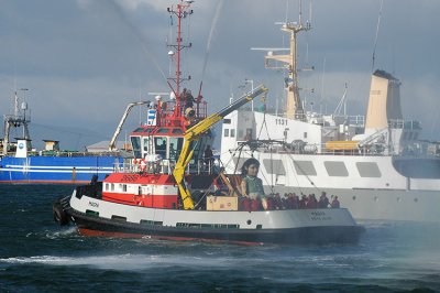 DSC_8626.jpg