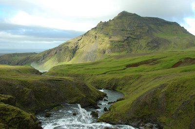 DSC_9239.jpg