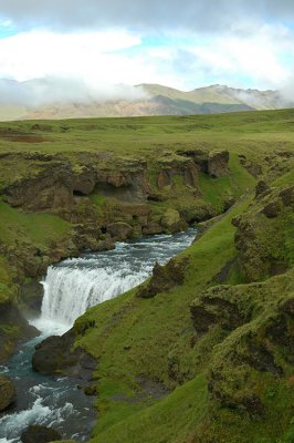DSC_9246.jpg