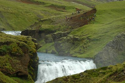 DSC_9266.jpg