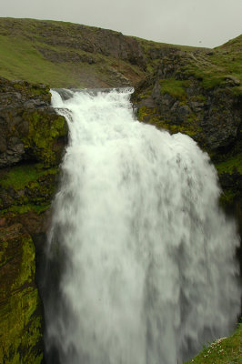 DSC_9324.jpg