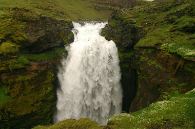 DSC_9328.jpg