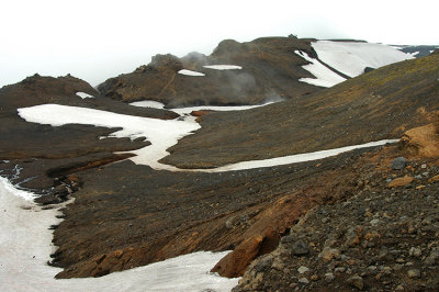 DSC_9359.jpg
