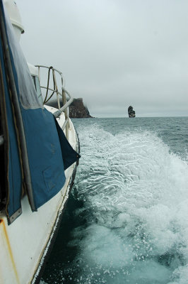 DSC_9715.jpg