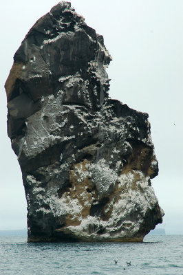 DSC_9719.jpg
