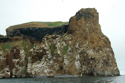DSC_9721.jpg