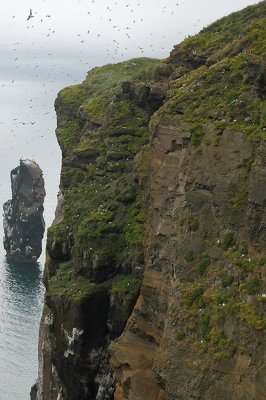 DSC_9779.jpg
