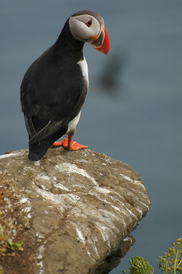 DSC_9802.jpg