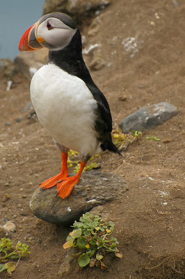 DSC_9811.jpg