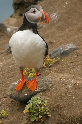 DSC_9812.jpg
